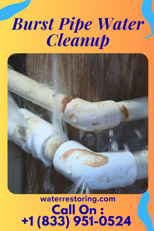 Burst Pipe Water Cleanup in Bayou Country Club, LA