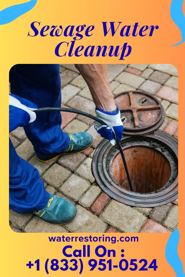 Sewage Water Cleanup in Bayou Country Club, LA